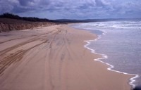 Fraser Island